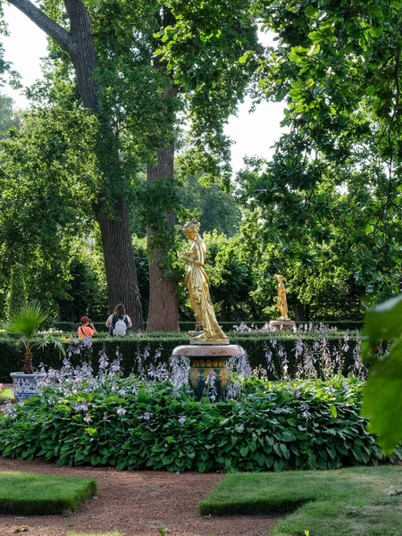 26 Temmuz 2020 - Peterhof, Rusya: Aşağı parktaki altın heykel — Stok fotoğraf