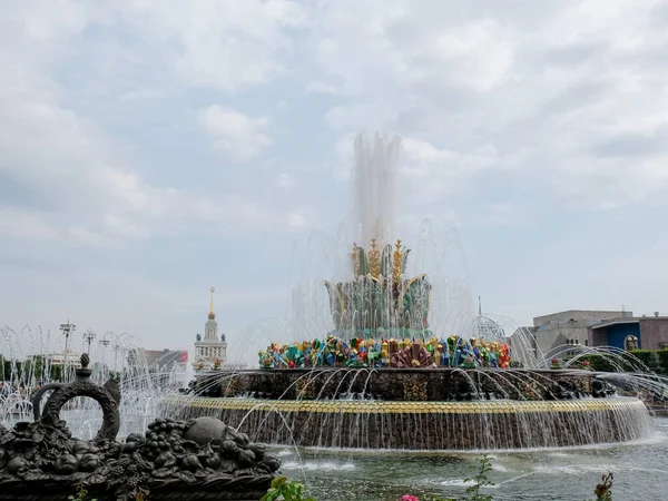 Fontana Fiore Pietra All Russian Exhibition Center All Russian Exhibition — Foto Stock