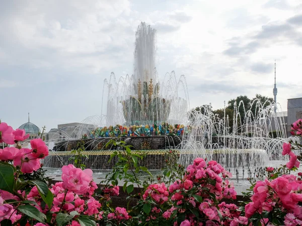 ロシア総合展示センターの噴水石の花全ロシア展示センター モスクワの国家経済の成果の旧展示会 ロシア — ストック写真