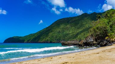 Dağlar ve ekvatorun kuzeyinde Karayip Punta Cana, Atlantik Okyanusu, ağaç ile tropikal bir plaj