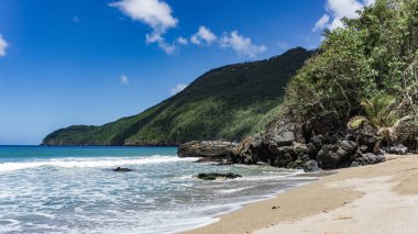 Dağlar ve ekvatorun kuzeyinde Karayip Punta Cana, Atlantik Okyanusu, ağaç ile tropikal bir plaj