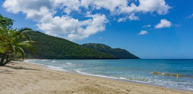 Dağlar ve ekvatorun kuzeyinde Karayip Punta Cana, Atlantik Okyanusu, ağaç ile tropikal bir plaj
