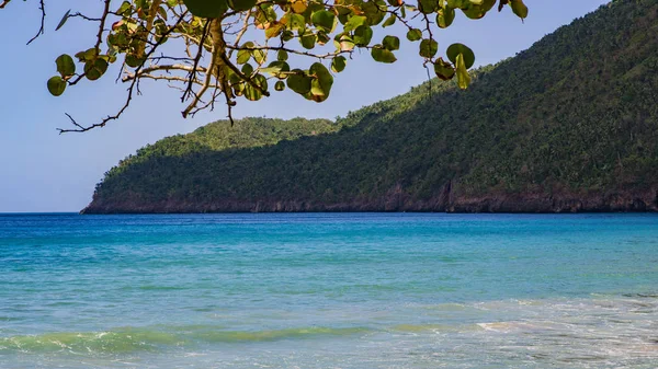 在加勒比海的蓬塔卡纳 大西洋 赤道以北的热带海滩 有山脉和树木 — 图库照片