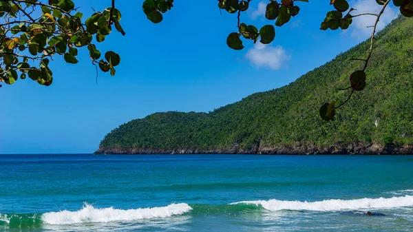 在加勒比海的蓬塔卡纳 大西洋 赤道以北的热带海滩 有山脉和树木 — 图库照片