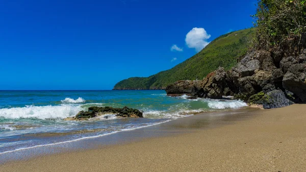 在加勒比海的蓬塔卡纳 大西洋 赤道以北的热带海滩 有山脉和树木 — 图库照片