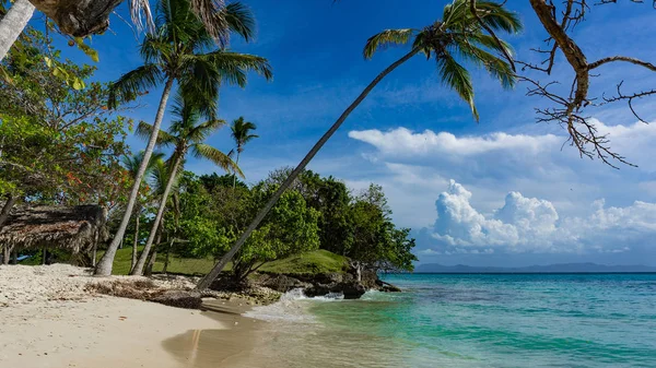 Пляж Карибському Басейні Острові Bacardi Острів Ліцензійні Стокові Зображення
