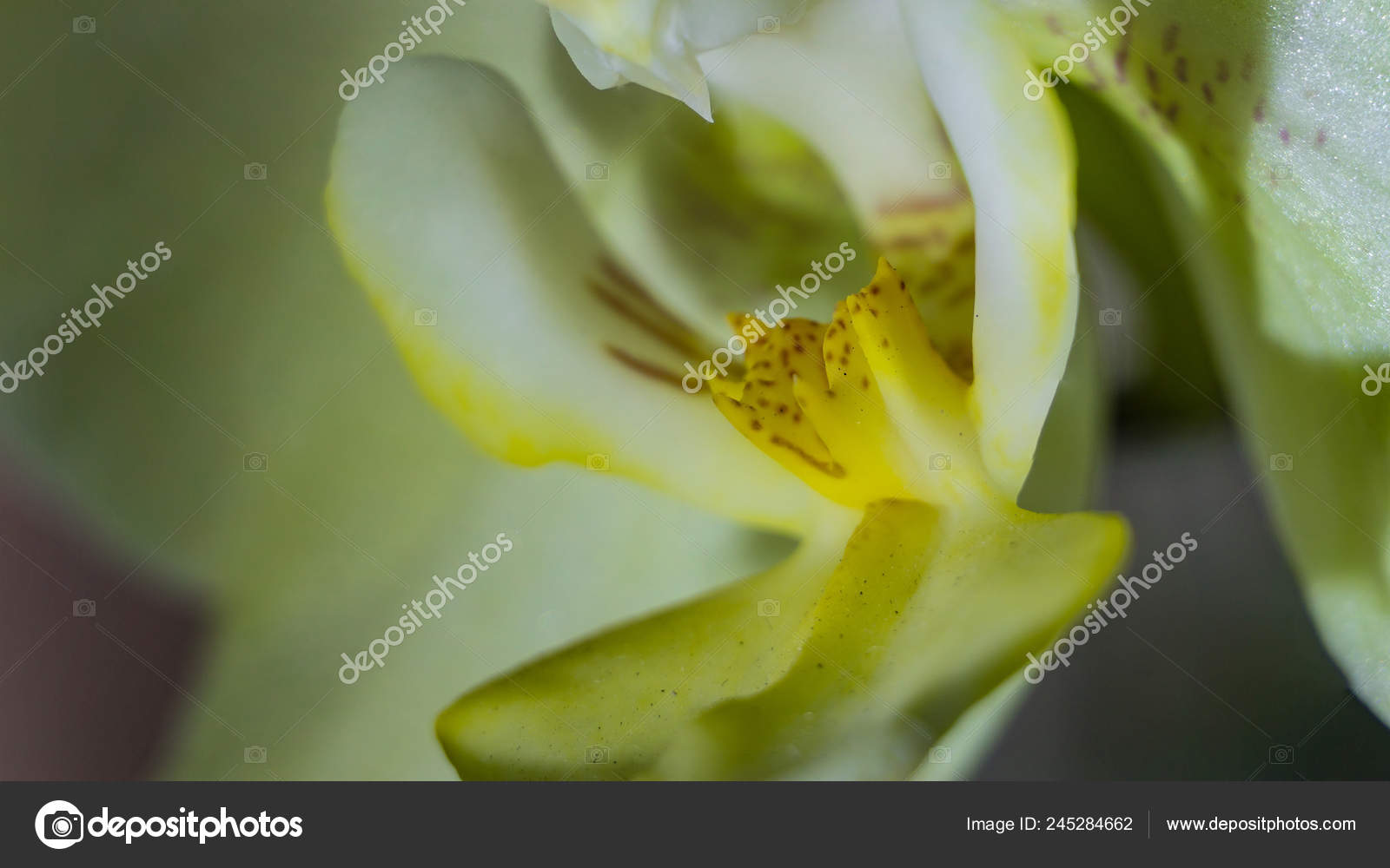 ポートフォリオ Photodesign Kammer ページ 2 ストック写真 イラストとベクターアート Depositphotos ポートフォリオ Photodesign Kammer ページ 2 ストック写真 イラストとベクターアート Depositphotos