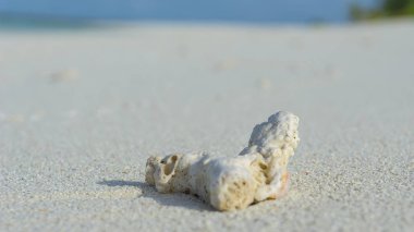 Kayalar ve mercan Maldivler, bir ıssız ada Adaaran seçin Meedhupparu Hint Okyanusu üzerinde beyaz bir plaj