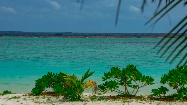 Palmer Stranden Maldiverna Adaaran Select Meedhupparu Indiska Oceanen — Stockfoto