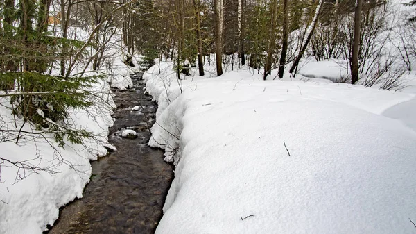 Kış kış manzarası ile orman karda kar, Harrachov nehirde. Çek Cumhuriyeti Harrachov