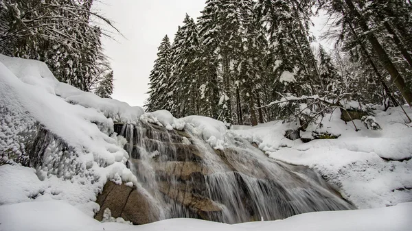 Şelale orman nehirde, kar, Harrachov Çek Cumhuriyeti Harrachov ile kışın kış manzarası