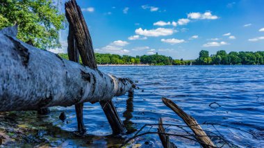 Orman manzara Duisburg, Almanya ile yaz gölde bir günde