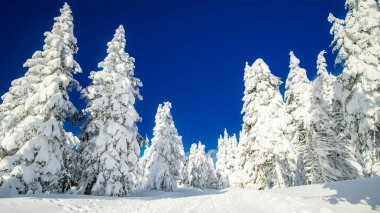 Mavi gökyüzü, Çek Cumhuriyeti, dağlarda kışın kayak pisti ile kar, ağaçlar kaplı