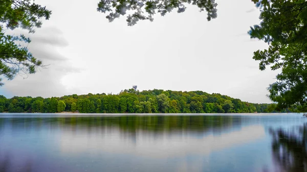 Orman manzara Duisburg, Almanya ile yaz gölde bir günde