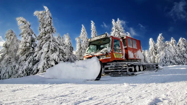 Ağaçlar ve kar-cog kayak pisti ile kar üzerinde mavi gökyüzü, Çek Cumhuriyeti, ern hora dağlarında kış aylarında kapalı
