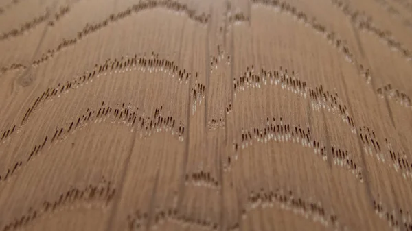 Masör ve dalları, doku, arka plan ve makro olarak rustik meşe zemin