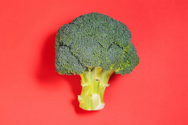 Brokolice izolovaná na červeném pozadí. Čerstvá brokolice zblízka. Zelený chřest pro výrobu zdravých salátů a občerstvení. — Stock fotografie