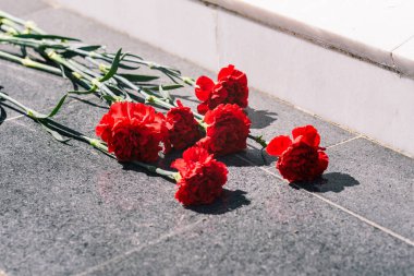 Mermer kaplama üzerinde karanfiller. Çiçek seriyorum. Anma ve yas günü