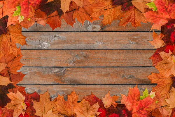 Otoño Deja Fondo Arce Hojas Secas Sobre Fondo Madera Con —  Fotos de Stock