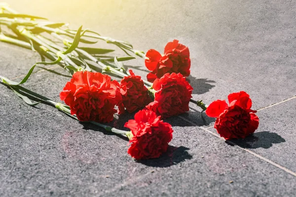 Claveles Una Losa Mármol Cerca Colocando Flores Monumento Día Del — Foto de Stock