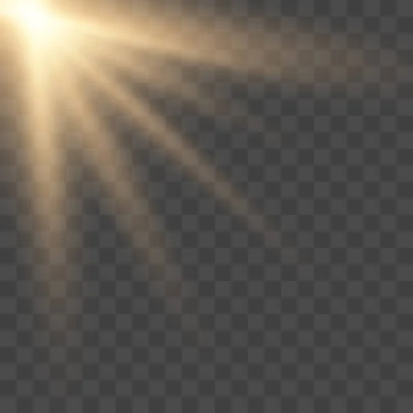 Lente de luz solar destello — Vector de stock