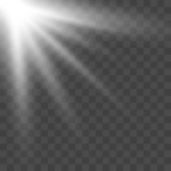 日光レンズ フレア — ストックベクタ