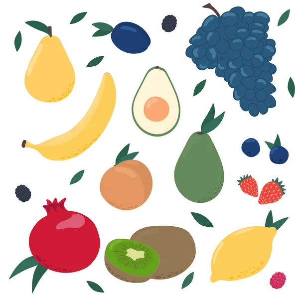 Früchte und Beeren — Stockvektor