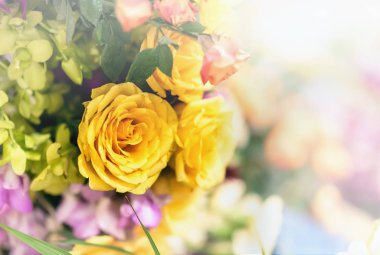 Güzel gül buket gül çeşitli renkli arka plan
