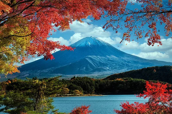 Berg Fuji Mit Bunten Blättern Vordergrund — Stockfoto