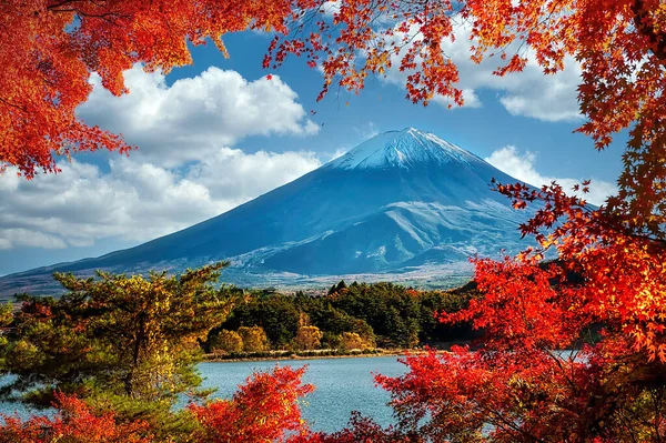 Monte Fuji Com Folhas Coloridas Como Primeiro Plano — Fotografia de Stock