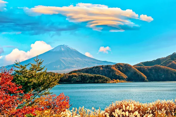 Önplan Olarak Renkli Yapraklarla Fuji Dağı — Stok fotoğraf