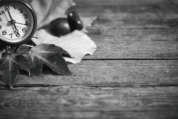 Konzept Der Herbstsaison Ankunft Blätter Kastanien Und Ein Wecker — Stockfoto