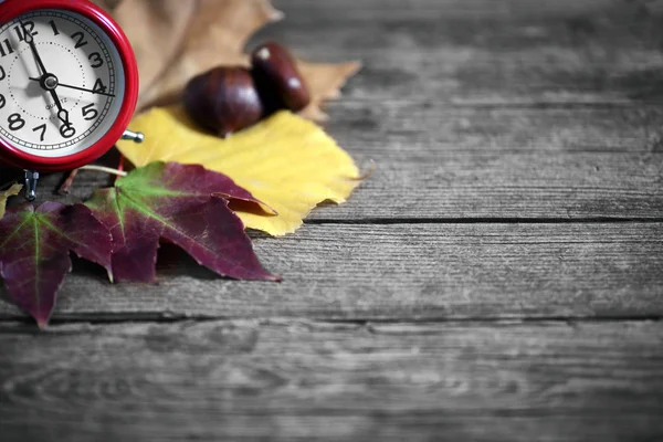 Sonbahar mevsimi gelişi, yapraklar, kestaneler ve çalar saat kavramı