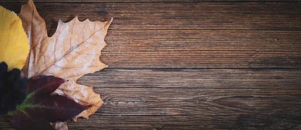 Houten Achtergrond Herfstbladeren — Stockfoto