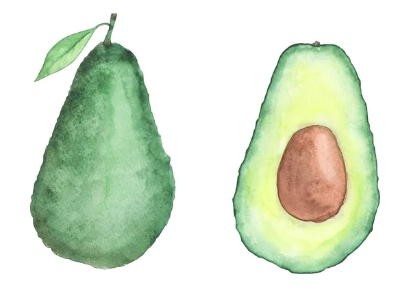 Aquarell Avocado Grün Geschnitten Set — Stockfoto