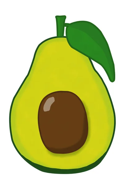 Avocado Простий Реалістичний Зелений — стокове фото