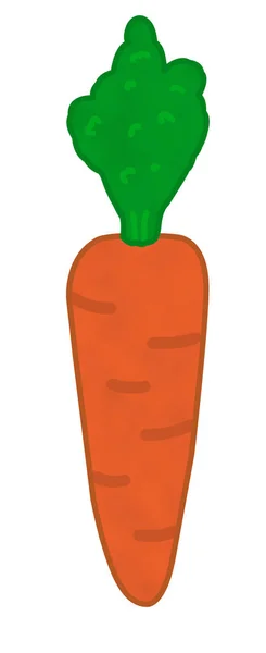 Sárgarépa Egyszerű Reális Narancs — Stock Fotó