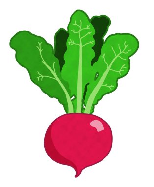 Kawaii sebze turp gerçekçi