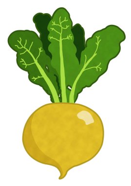 Kawaii sebze şalgam gerçekçi