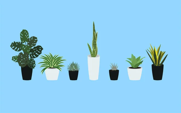 Plantas — Vetor de Stock