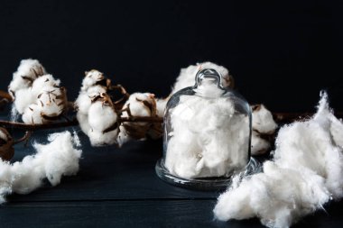 Beyaz pamuk çiçek koyu ahşap arka plan üzerinde tıbbi pamuk ile kurutulmuş