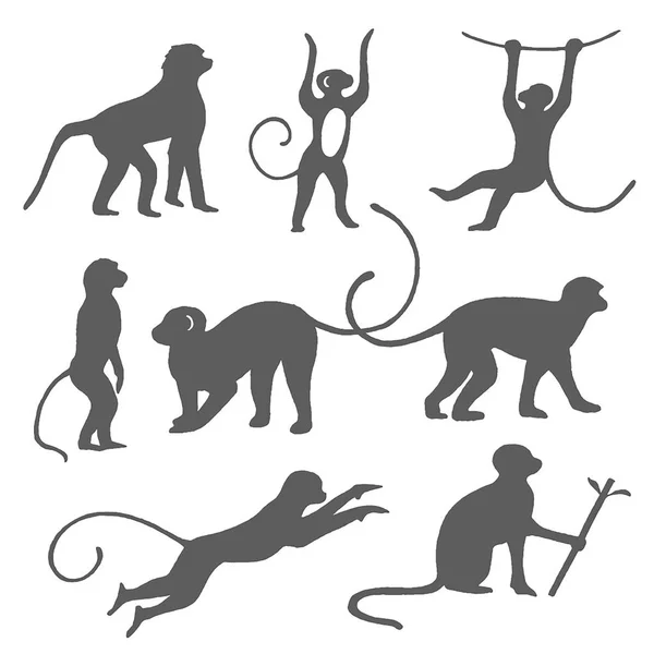 Croquis vectoriel dessiné à la main du singe isolé sur fond blanc — Image vectorielle