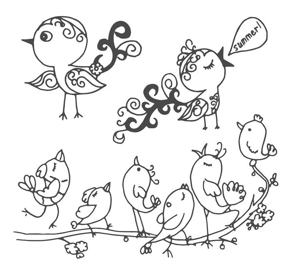 Vector hand drawn sketch of birds isolated on white background