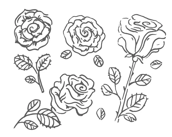 Vektor handgezeichnete Skizze der Rosenblume Illustration auf weißem Hintergrund — Stockvektor