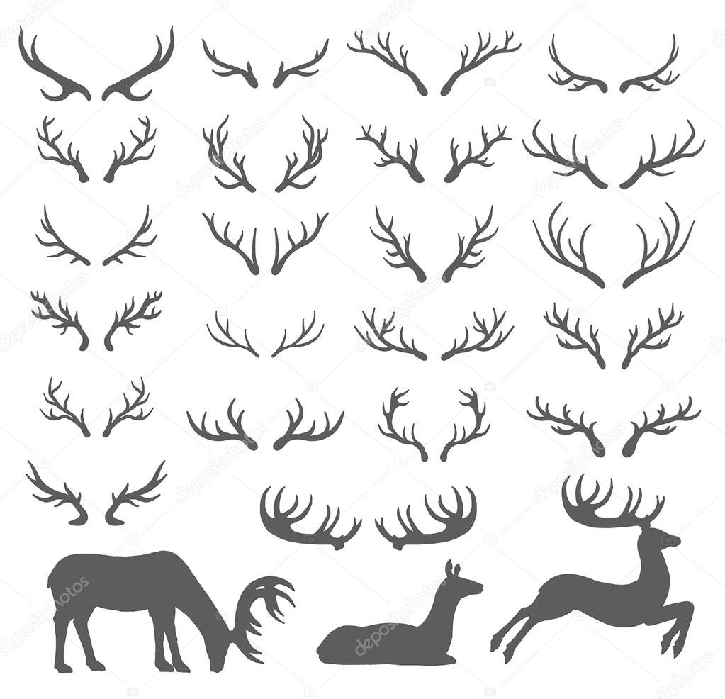 Vector Hand drawn sketch of deer horns illustration 