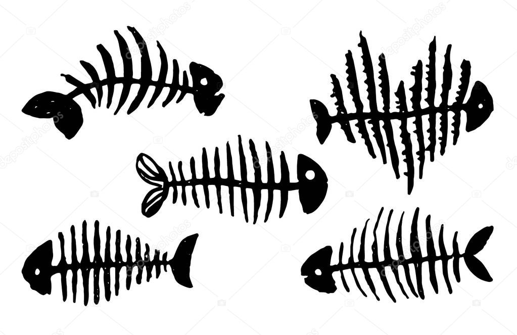 Vector Hand drawn sketch of fish skeleton illustration