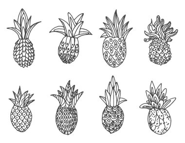 El çizilmiş kroki beyaz arka plan üzerinde ananas illüstrasyon vektör