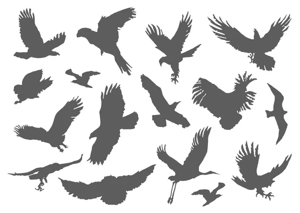 Silhouette fliegender Vögel auf weißem Hintergrund. inspirierende Body Flash Tätowiertinte. Set mit strukturierten stipple grauen Vögeln fliegen Schwalben von Hand gefertigt. Vektor. — Stockvektor