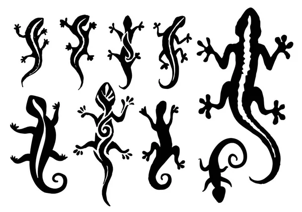 Векторная ручная иллюстрация силуэта ящерицы на белом фоне . — стоковый вектор
