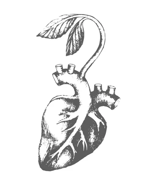 Wektor ręcznie rysowane szkic serca z ilustracja kiełkowy na białym tle — Wektor stockowy